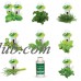 9-Pod Gourmet Herbs   565846565